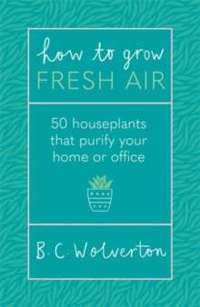 How To Grow Fresh Air : 50 Houseplants To Purify Your Home Or Office