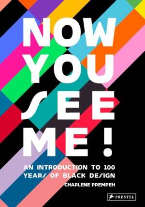 Now You See Me : An Introduction to 100 Years of Black Design