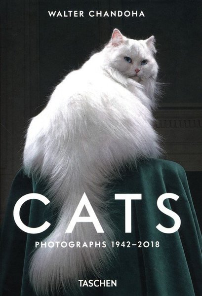 Walter Chandoha. Cats. Photographs 1942-2018 | Photography ...