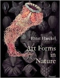 Art Forms in Nature: Prints of Ernst Haekel