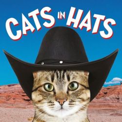 Cats in Hats