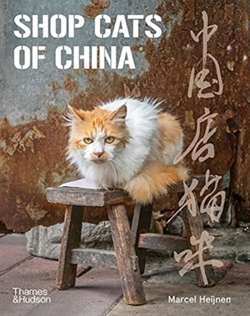 Shop Cats of China