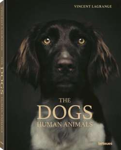 The Dogs : Human Animals