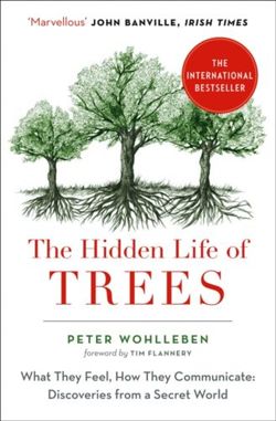 The Hidden Life of Trees : The International Bestseller - What They Feel, How They Communicate