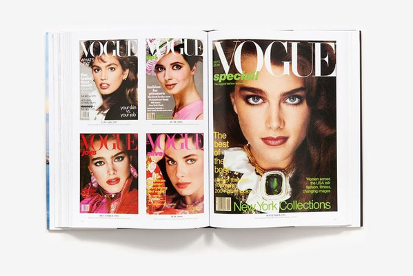 Vogue The Covers (updated edition)