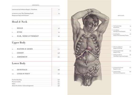 Crucial Interventions : Nineteenth Century Surgery