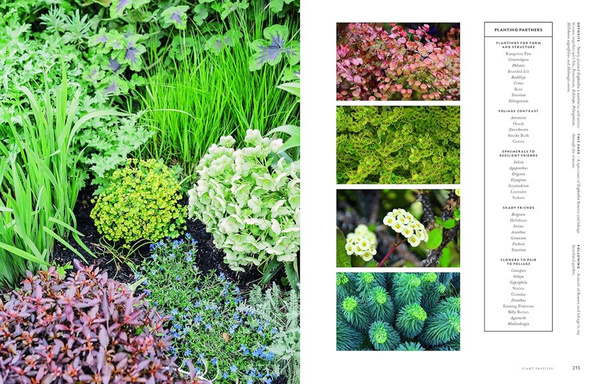 Super Bloom : A Field Guide to Flowers for Every Gardener