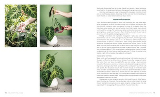 Welcome to the Jungle : Rare Tropical Houseplants to Collect, Grow, and Love