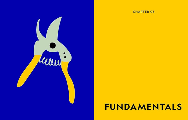 Super Bloom : A Field Guide to Flowers for Every Gardener