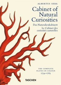 Cabinet of Natural Curiosities