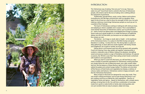 Vietnamese : Simple Vietnamese Food to Cook at Home