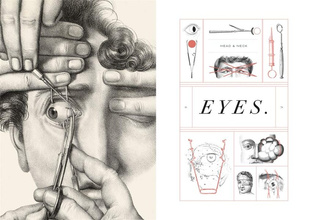 Crucial Interventions : Nineteenth Century Surgery