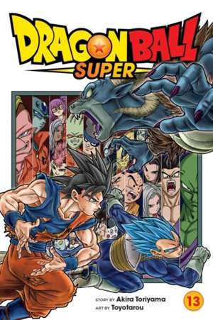 Dragon Ball Super, Vol. 13 : 13