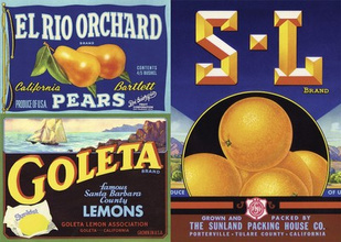 Slab Serif Type A Century of Bold Letterforms