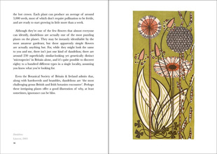 The Book of Wild Flowers : Reflections on Favourite Plants