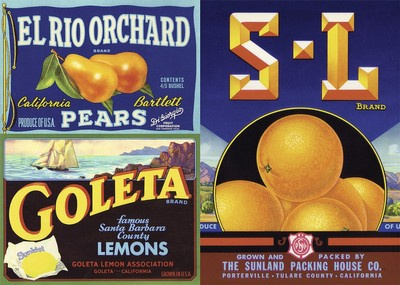 Slab Serif Type A Century of Bold Letterforms