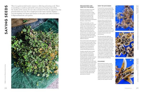 Super Bloom : A Field Guide to Flowers for Every Gardener