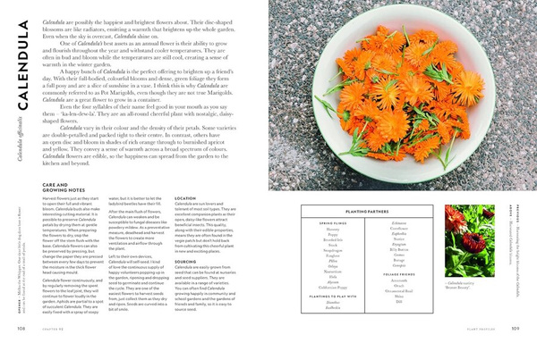 Super Bloom : A Field Guide to Flowers for Every Gardener