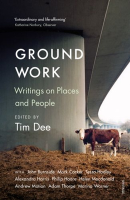 Ground Work : Writings on People and Places