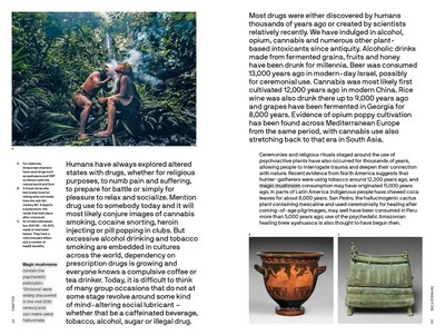 Should All Drugs Be Legalized?