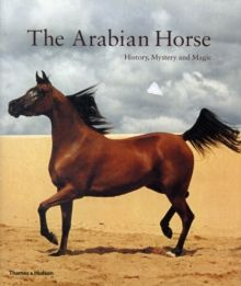 The Arabian Horse