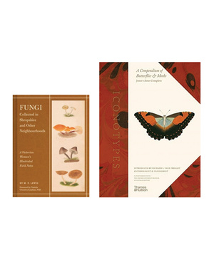 ZESTAW Fungi Collected in Shropshire and Other Neighbourhoods & Iconotypes: A Compendium of Butterflies and Moths – Jones's Icones Complete