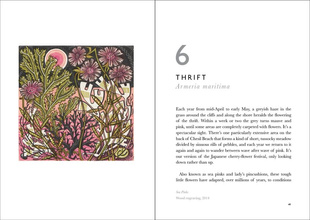 The Book of Wild Flowers : Reflections on Favourite Plants