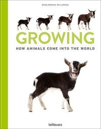 Growing : How animals come into our world