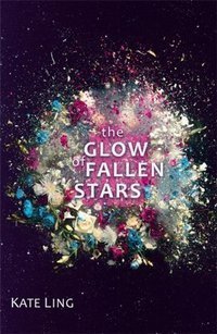 Ventura Saga: The Glow of Fallen Stars : Book 2