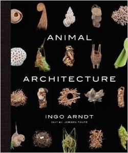 Animal Architecture