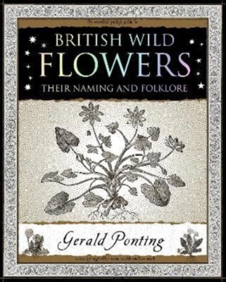 British Wild Flowers : Their Naming and Folklore