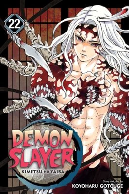 Demon Slayer: Kimetsu no Yaiba, Vol. 22 : 22