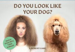 Do You Look Like Your Dog? Match Dogs with Their Humans: A Memory