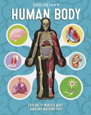 Inside Out: Human Body