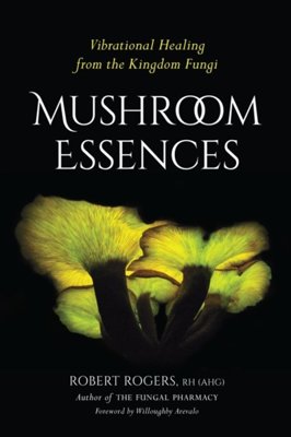 MUSHROOM ESSENCES