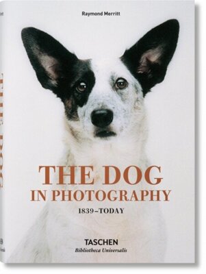 The Dog in Photography LEKKO USZKODZONA